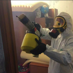 Уничтожение клопов в квартире. Маркс
